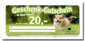 Gutschein 20,- Euro
