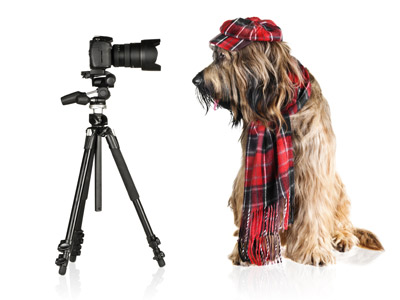 Hund mit Kamera