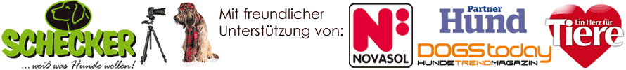 Sponsoren